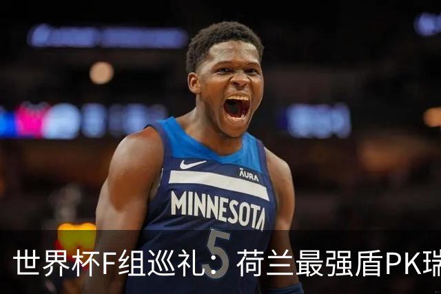 世界杯F组巡礼：荷兰最强盾PK瑞典犀利刀 日本短板明显